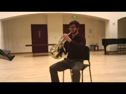 Scott Ullman Ozarks Horn Audition