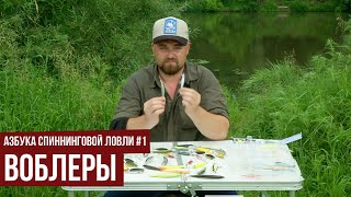 Воблеры. типы воблеров