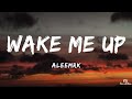 Aleemrk Wake Me Up Lyrics