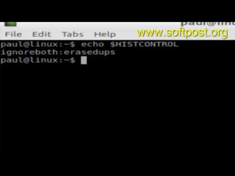 HISTCONTROL variable in BASH shell terminal