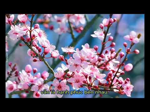 Chung bước nhạc vui Sheet - Thúy Hương