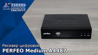  Ресивер цифровой PERFEO MEDIUM A4487