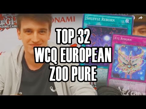 TOP 32 WCQ European Utrecht 2017 - SPICY Zoo REBORN !! - Alberto Conti
