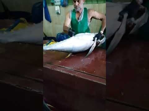Cleaning Tuna. Maldive's Market