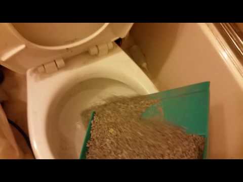 #49: me flushing cat litter down the toilet.