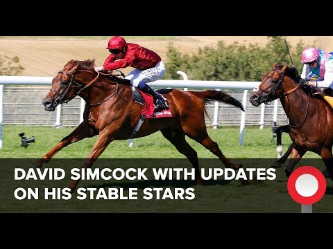 David Simcock with updates on his stable stars