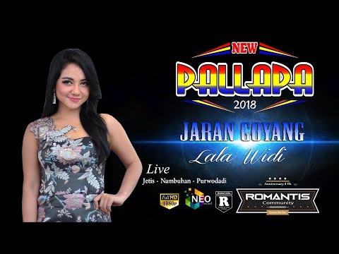 JARAN GOYANG LALA WIDI NEW PALLAPA ROMANTIS COMMUNITY PURWODADI 2018