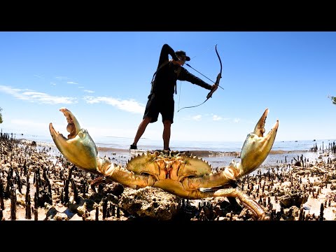 GIANT CRAB - catch and cook - BOW n ARROW. Cooking on a camp fire