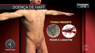 Miniatura do vídeo