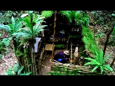 Full Video: 15 Days of Solo Survival in Heavy Rain, Build a Complete Shelter, Hunt Shrimp and Cook