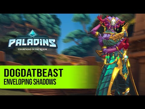 DogDatBeast Vatu PALADINS PRO COMPETITIVE GAMEPLAY l ENVELOPING SHADOWS