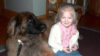 Braid My Hair by Randy Owen