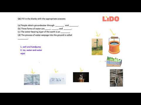 q6-fill-in-the-blanks-with-the | LIDO