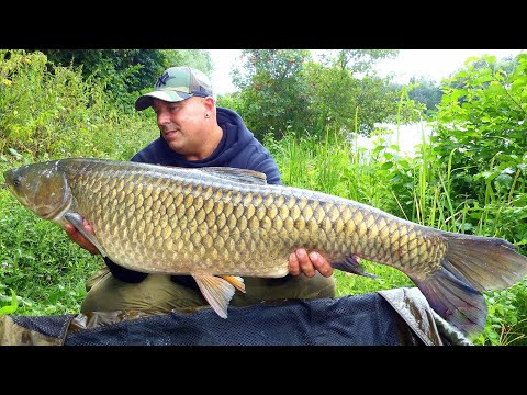 Karpfenangeln - VTB 48 - Erfolgreicher One Nighter unter Brüdern