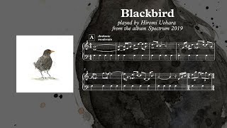 Hiromi Uehara Blackbird Music