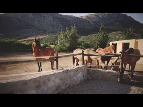 Video 3 aus  Cortijo Los Lobos
