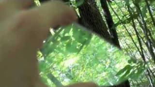 &quot;Glass in the Trees&quot; by Dead Poetic  (unofficial) music video