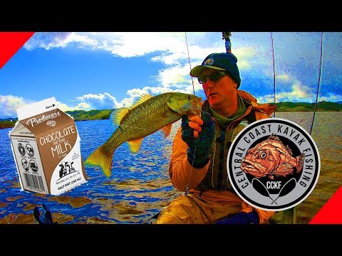 Bass Fishing in Chocolate Milk - Lake Nacimiento