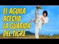 Wu Tang Collection El águila Acecha La Guarida Del Tigre Super Power