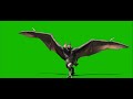 Bats green screen video