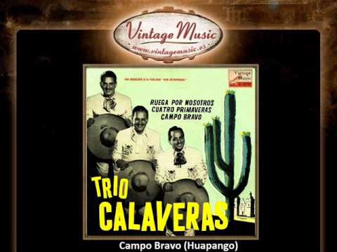 Trio Calaveras -- Campo Bravo (Huapango) (VintageMusic.es)