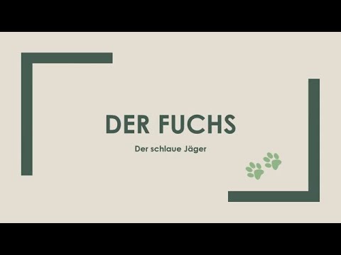 Der Fuchs einfach und kurz erklärt