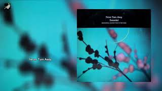 Never Turn Away by Orchestral Manouevres in the Dark