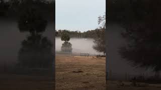 Where are the cows? #cow #farming #farmlife #shorts