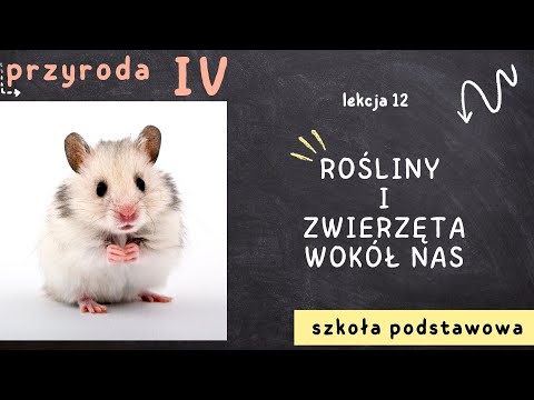 Przyroda klasa 4 [Lekcja 12 - Rośliny i zwierzęta wokół nas]