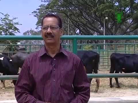 Complete Feed Block English