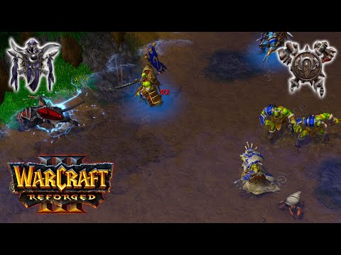 WC3 Colorful (NE) vs Lin Guagua (OR)