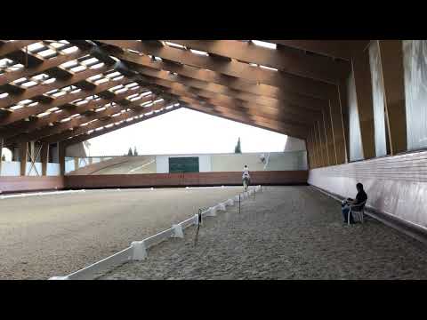 Mozart da Malhadinha