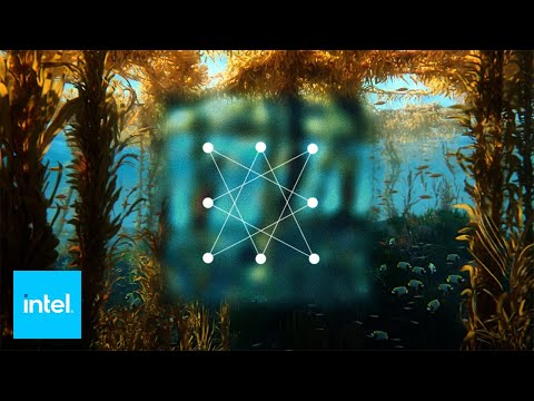 AI-Powered Solutions for a Sustainable Future | Intel