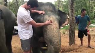 Thailand Vibez (Ralph Felix - The Heat (I Wanna Dance With Somebody))