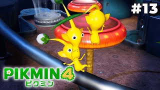 こちらが緊張感のない現場です【ピクミン4】#13