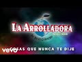 La Arrolladora Banda El Limón De René Camacho - Cosas Que Nunca Te Dije (Lyric Video)