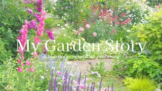 [A record of four years of gardening] A roses and perennials garden with gentle flower colors