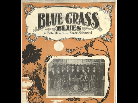 Gene Rodemich's Orchestra "Blue Grass Blues" (1923) Brunswick 2527 flapper jazz = 1920s dance band