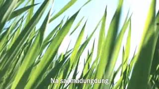 Download lagu Lagu Batak Paling Menyedihkan Mardalan ahu Viky Sianipar feat Korem Sihombing mp3 Download lagu Lagu Batak Paling Menyedihkan Mardalan ahu Viky Sianipar feat Korem Sihombing mp3