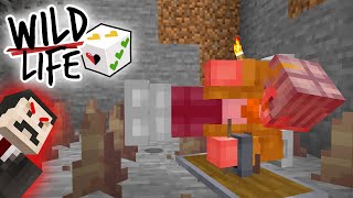 They got me… - Wild Life - Ep.4