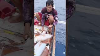 Download lagu kelangan maingat sa pag linis para di ma reject #squid #fishingvideo mp3