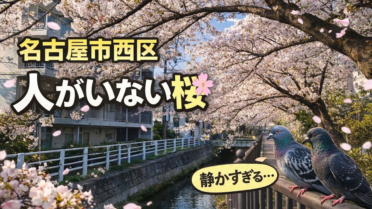 誰も知らない“桜の穴場”…静かすぎる桜トンネル（名古屋市西区）🌸