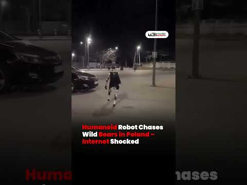 Robot Edward Chases Wild Boars in Warsaw Streets
