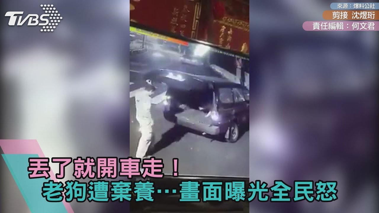 丟了就開車走!老狗遭棄養…畫面曝光全民怒