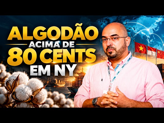 ALGODÃO Acima de 80 Cents Em NY: Déficit Global e Demanda na Ásia Vão Sustentar os Preços?