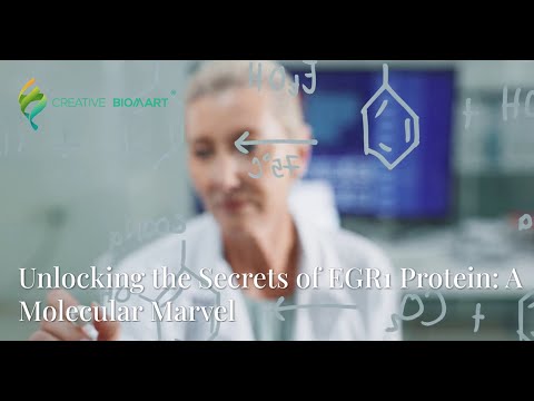 Unlocking the Secrets of EGR1 Protein: A Molecular Marvel