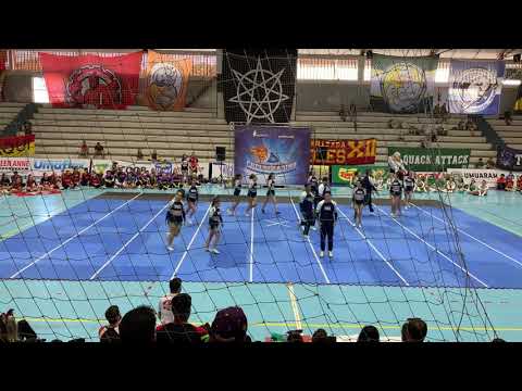 PREDADORES - Engenharíadas Paranaense 2019