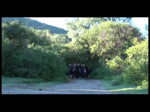 Sutra de la Gran sabiduría, MAKA HANNYA HARAMITA SHINGYO