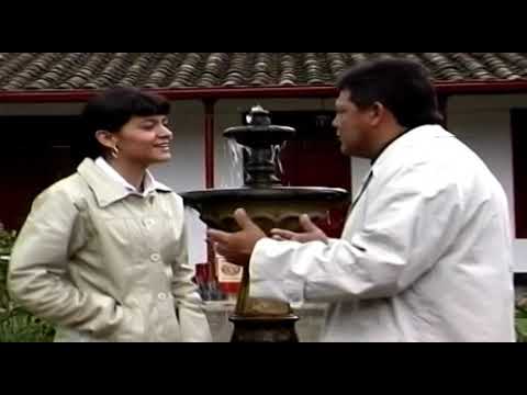 LOS QUIROGA   NO FUI CAPAZ