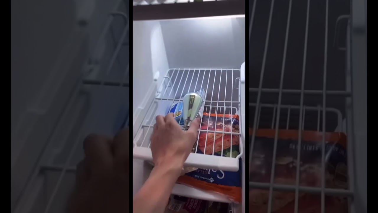 Firework light bulb 😱🧨 #Shorts